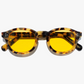 paradise city, sunglasses